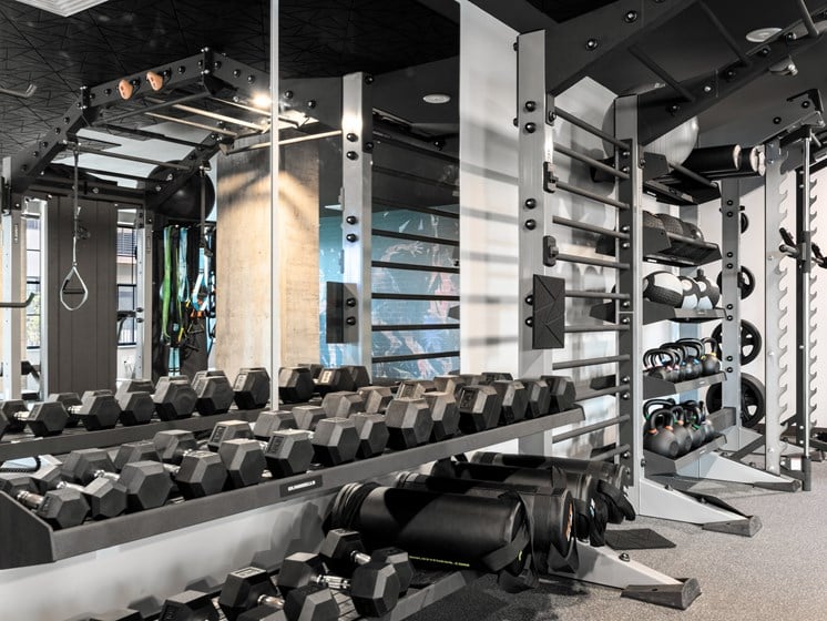 a row of black dumbbells in a gym